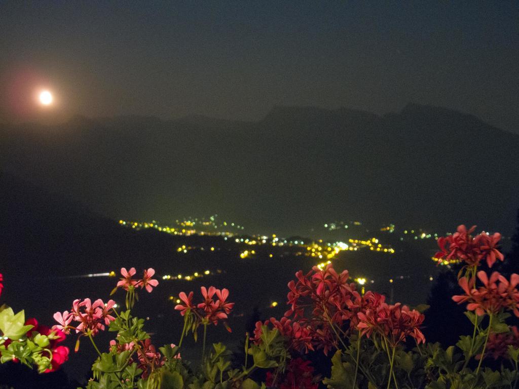 B&B Alba Sul Lago Pergine Valsugana Zewnętrze zdjęcie